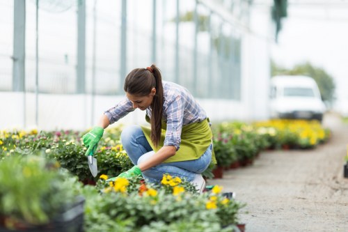 Sustainable gardening practices with composting and rainwater harvesting.