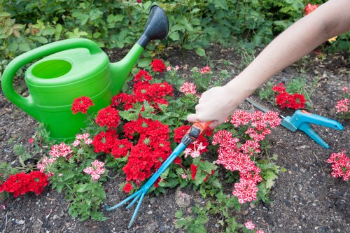 Volunteers and charity partners collecting reusable garden items