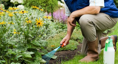 Pruned shrubs and trees in a Cranford garden