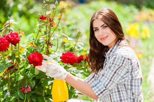 Professional hedge trimming services in Cranford