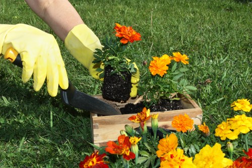 Seasonal plants and garden maintenance in Cranford