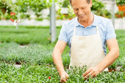 Sustainable gardening practices in Cranford landscape