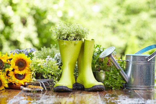 Clearing overgrown plants and debris