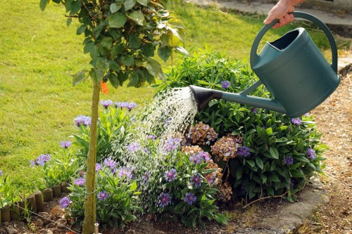 Neatly shaped hedges enhancing curb appeal