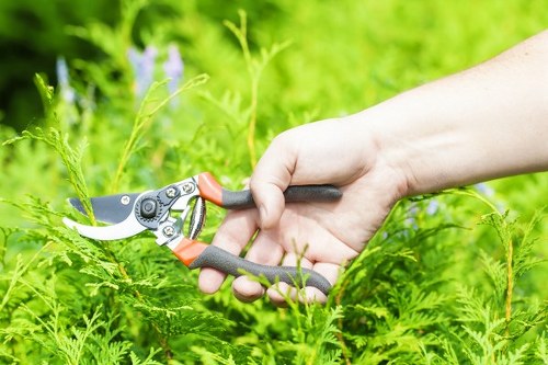 Community workshop by Gardener Cranford