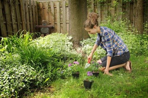 Healthy green lawn maintained by Cranford experts