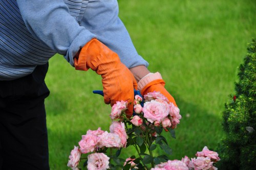 Tree trimming enhancing landscape
