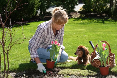 Suitable green waste storage and compost bays at a Cranford property
