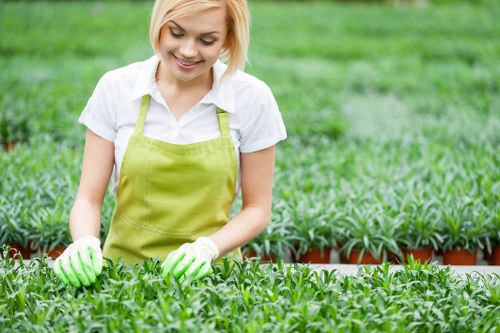 Professional landscaper working on a Cranford property