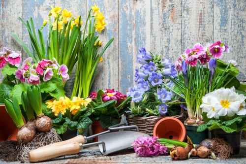Detailed garden planning with plant selection in Cranford