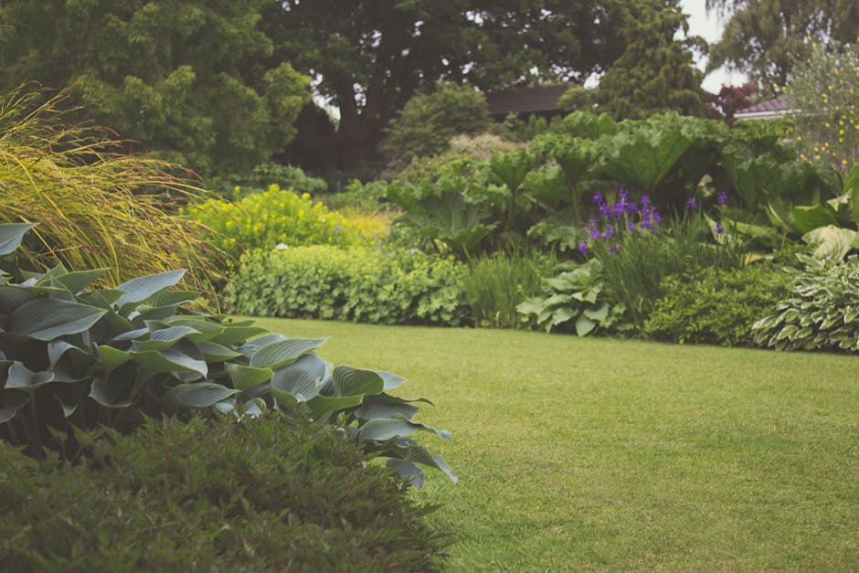 A well-maintained garden featuring a neatly mown lawn with vibrant green grass, bordered by diverse plantings including large-leaved hostas, ornamental grasses with fine, feathery foliage, and various