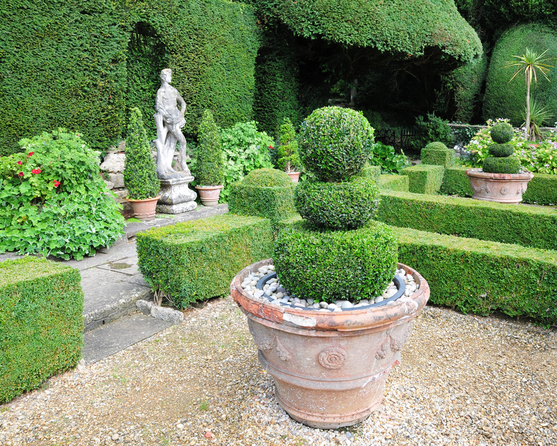 Discover How Tall-Potted Plants Can Instantly Boost Privacy in Your Backyard